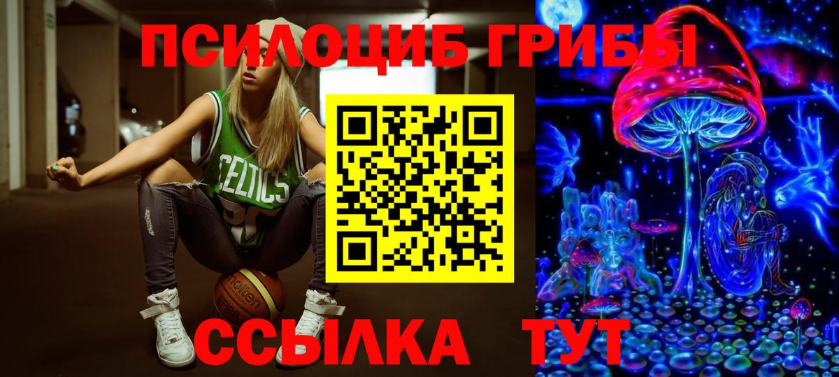 Псилоцибиновые грибы Psilocybine cubensis Кувандык