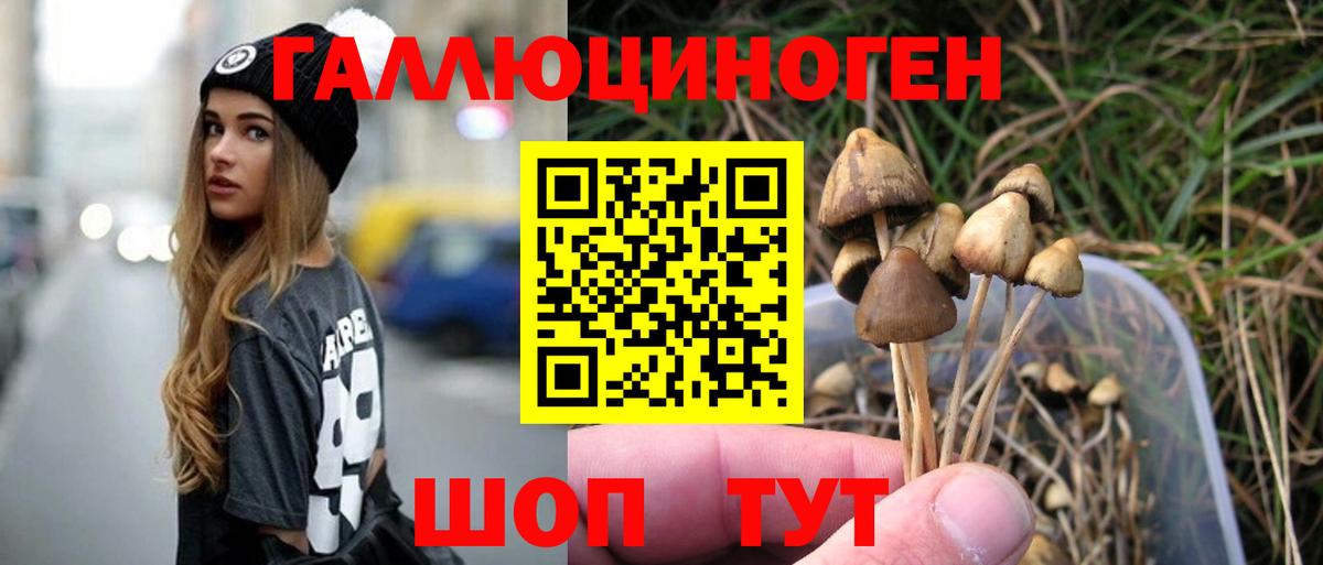 Кувандык  Галлюциногенные грибы MAGIC MUSHROOMS  купить наркоту  Вход с VPN  Псилоцибиновые грибы MAGIC MUSHROOMS 